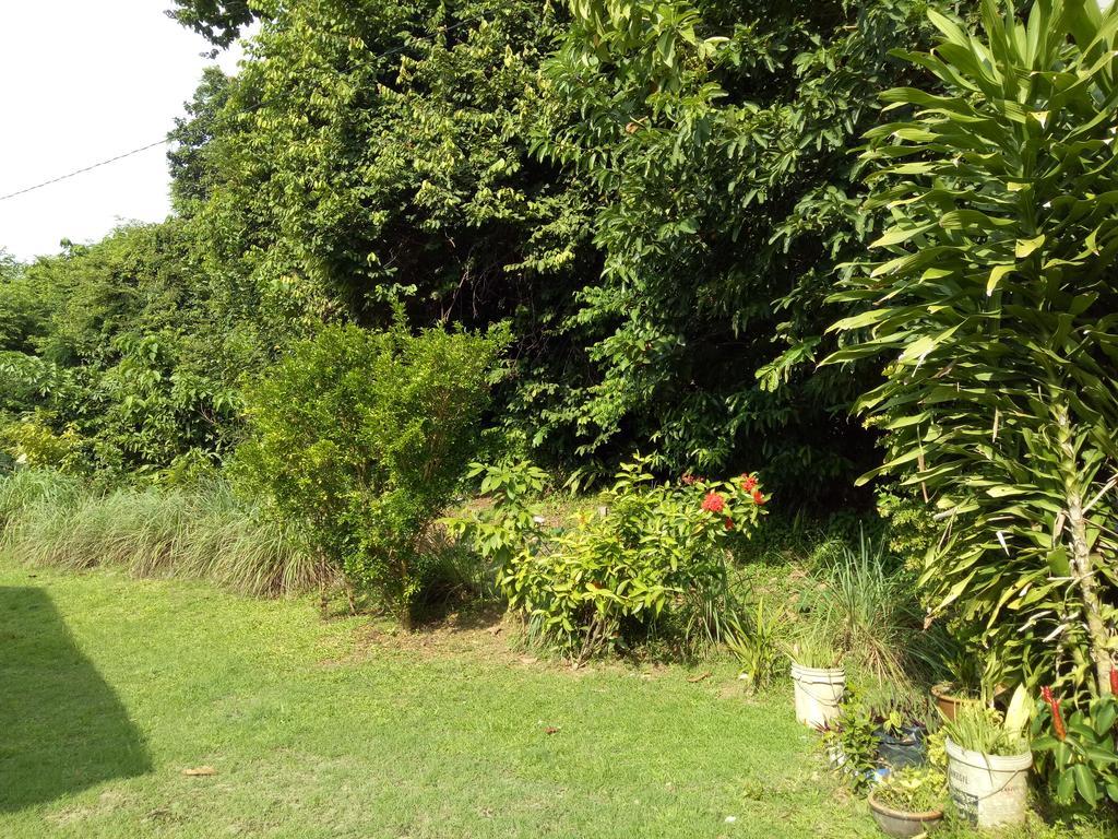 Nas Villaria Langkawi Pantai Cenang  Extérieur photo
